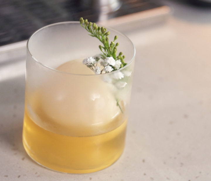 honteri milk punch